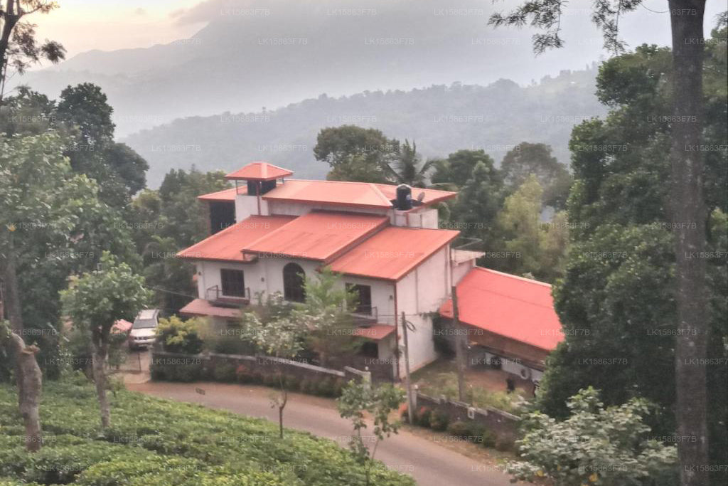 Вилла 95, Рангала, Канди