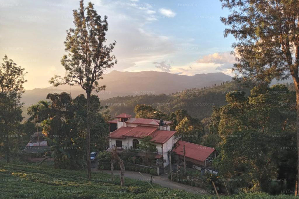 Вилла 95, Рангала, Канди