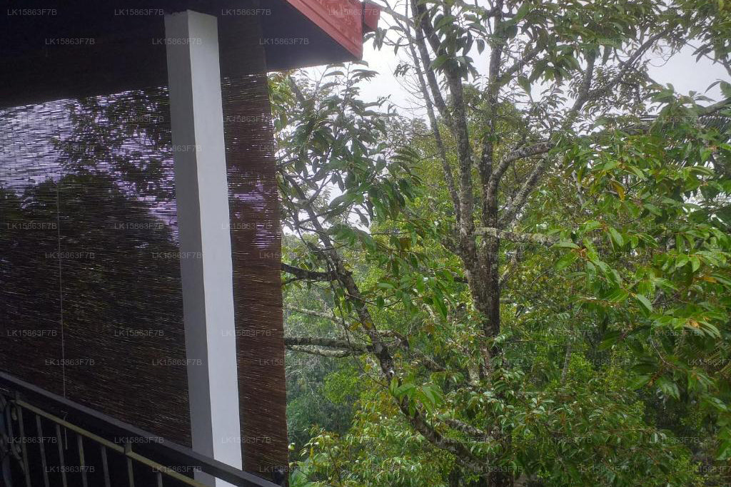 Вилла 95, Рангала, Канди