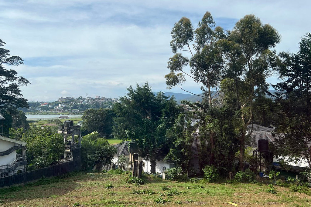 Лушатель, Нувара Элия