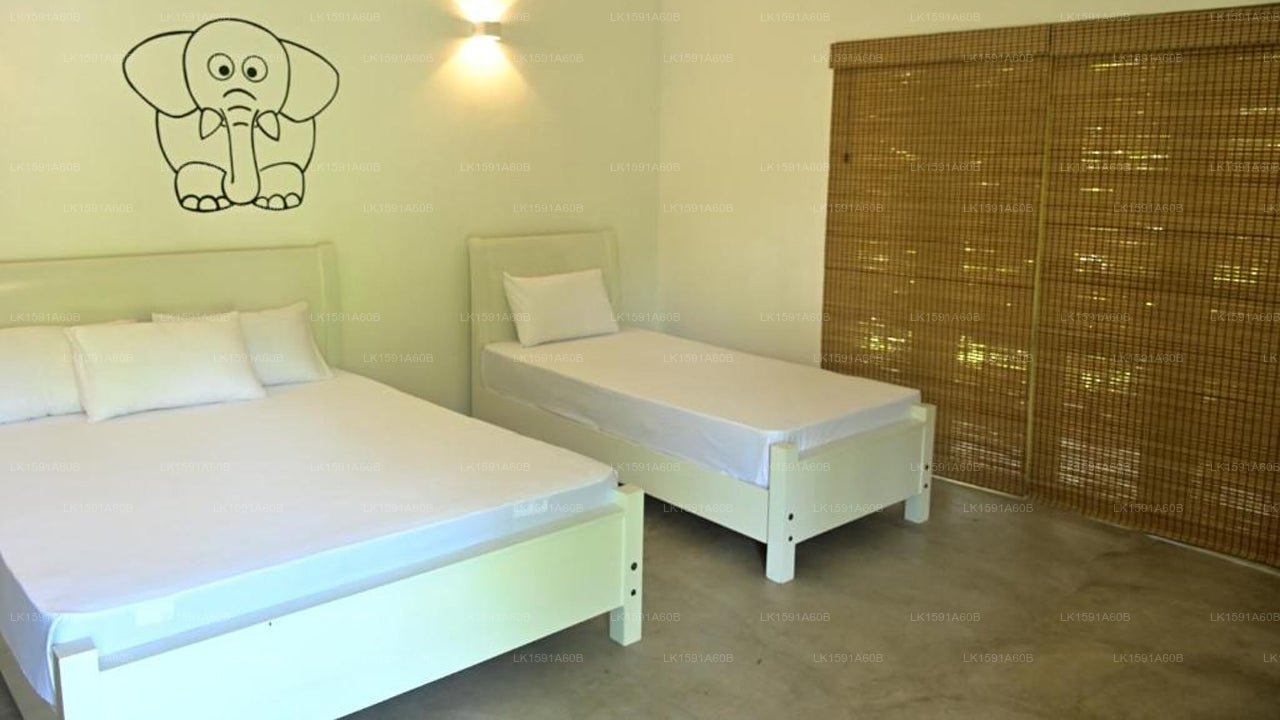 Moi Dambulla by DBI, Dambulla