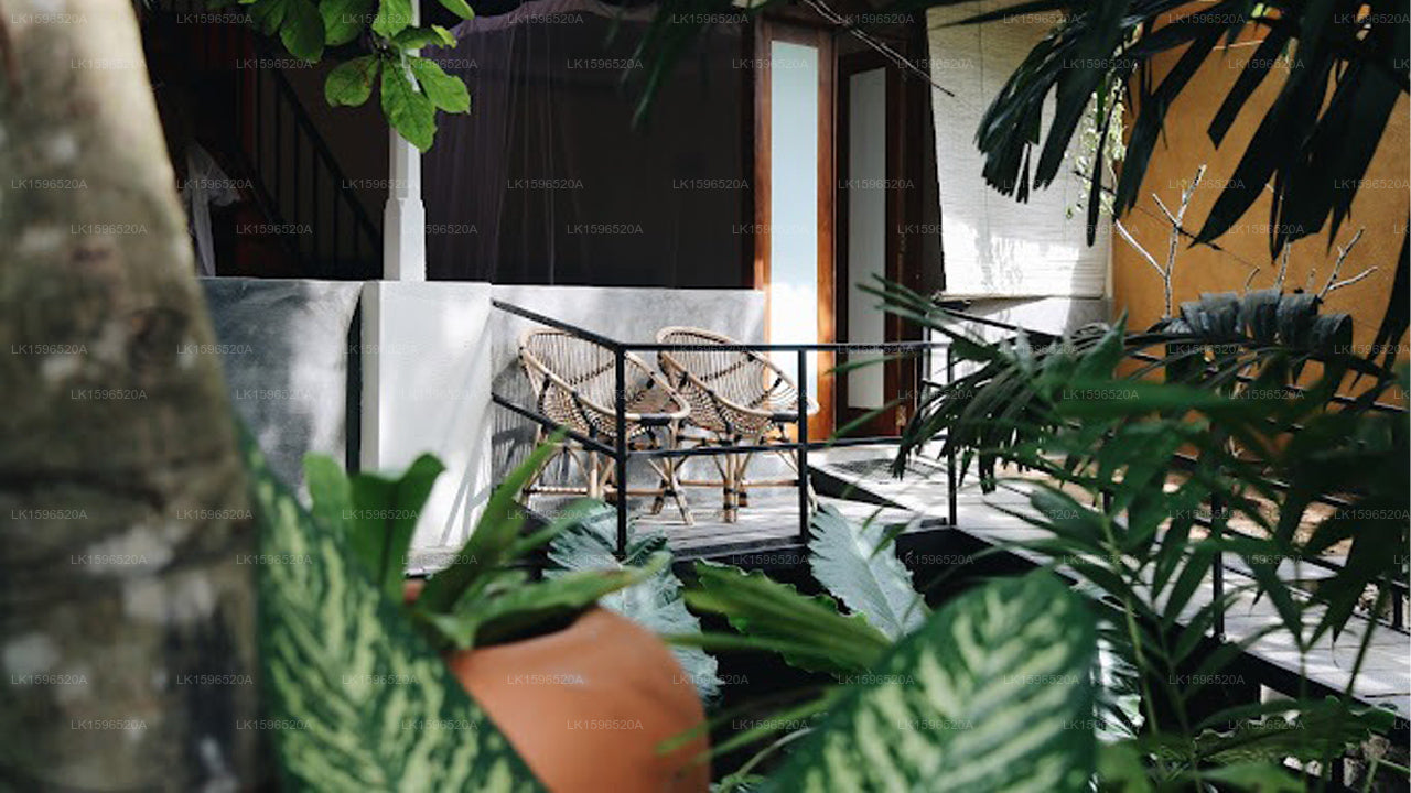 Boho Hiriketiya, Dikwella