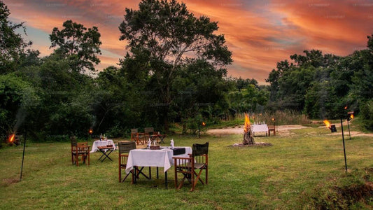 Mahoora Safari Camping, Yala