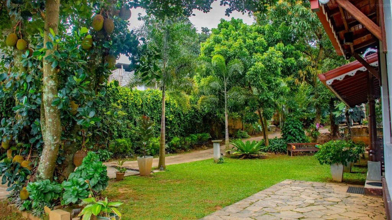 Homestay garden Rest, Kandy