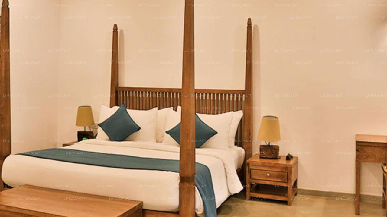 Arie Lagoon, Negombo