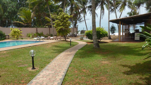 The image depicts the Hotel Ocean View Cottage in Hikkaduwa, showcasing its lush surroundings and facilities. The cottage is set against a backdrop of greenery and a blue sky, with the ocean in view.
