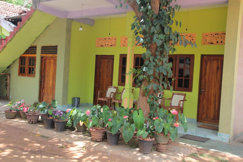 Гость и сафари «Слоны огораживают», Удавалаве