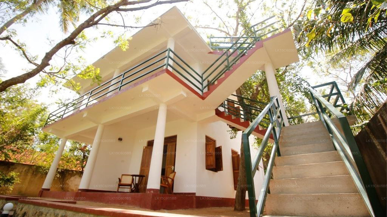 Peacock Land, Tangalle