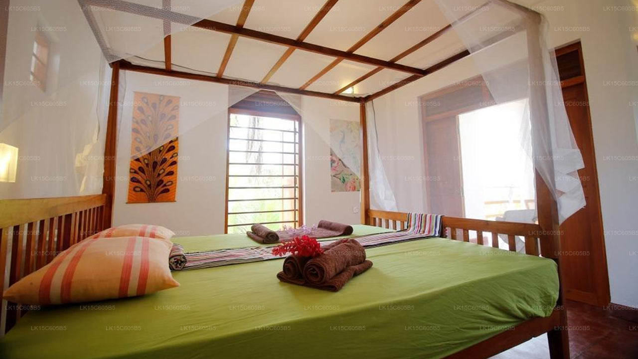 Peacock Land, Tangalle