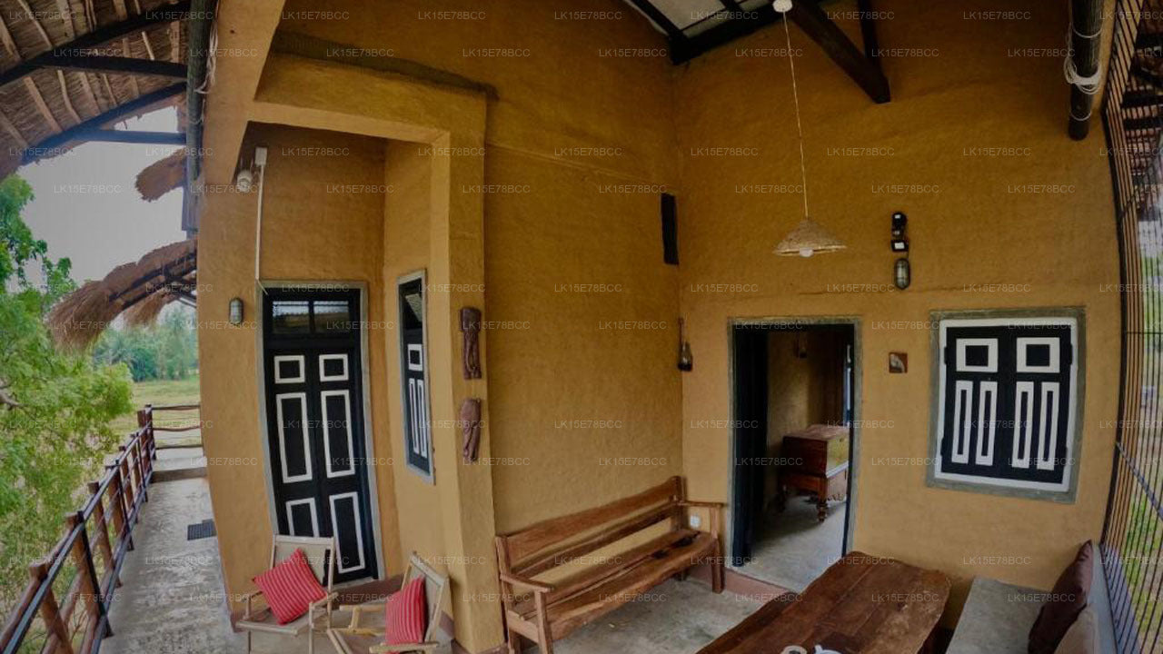 Лофт у озера, Курунегала