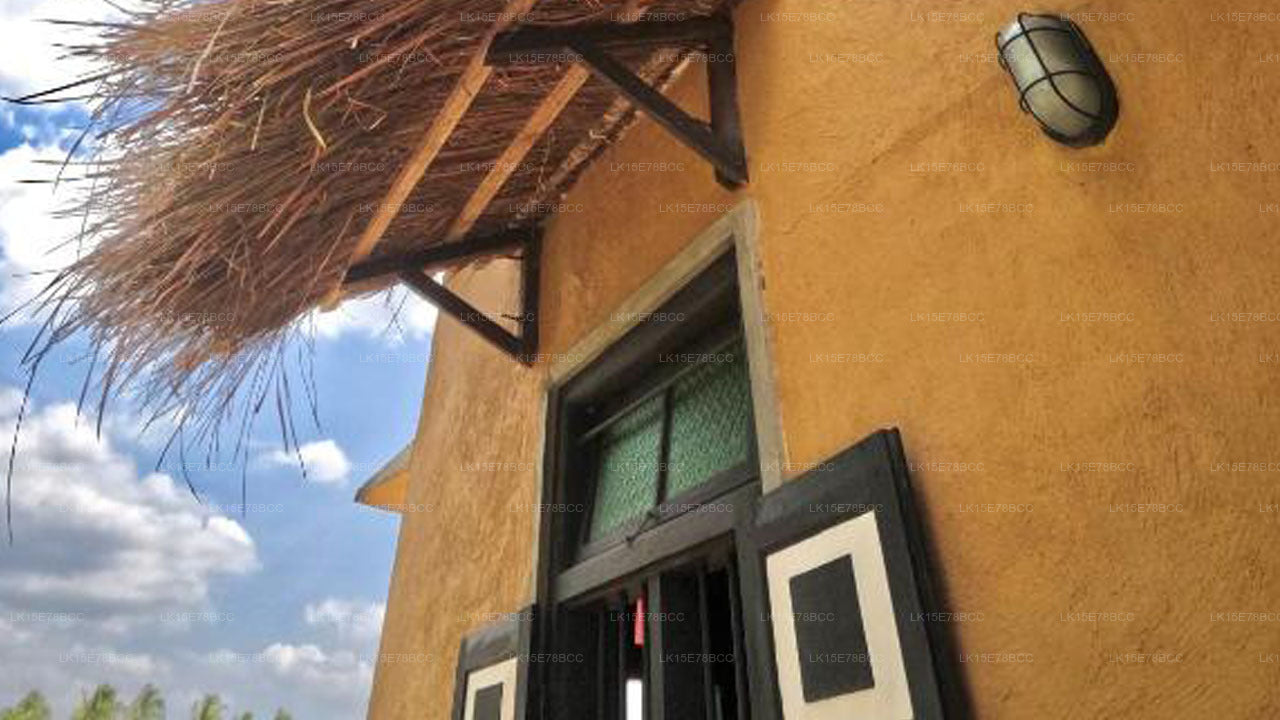 Лофт у озера, Курунегала