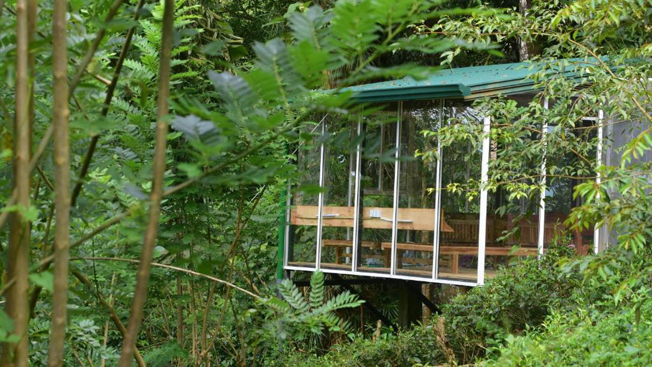 Эко-курорт «Синхараджа Курулу Элла», Дения