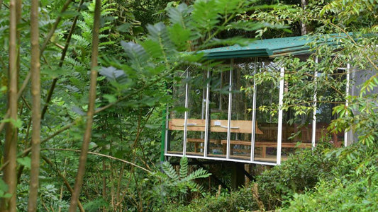 Эко-курорт «Синхараджа Курулу Элла», Дения