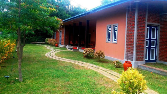 Honey Tree, Polonnaruwa