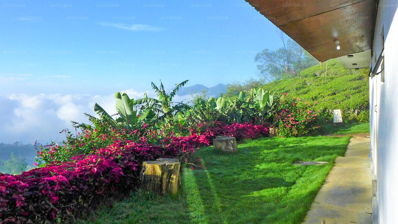 Эко-лодж «Сафари на холме», Огайо