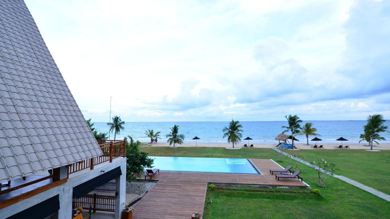 Лая Уэйвс, Пасикуда