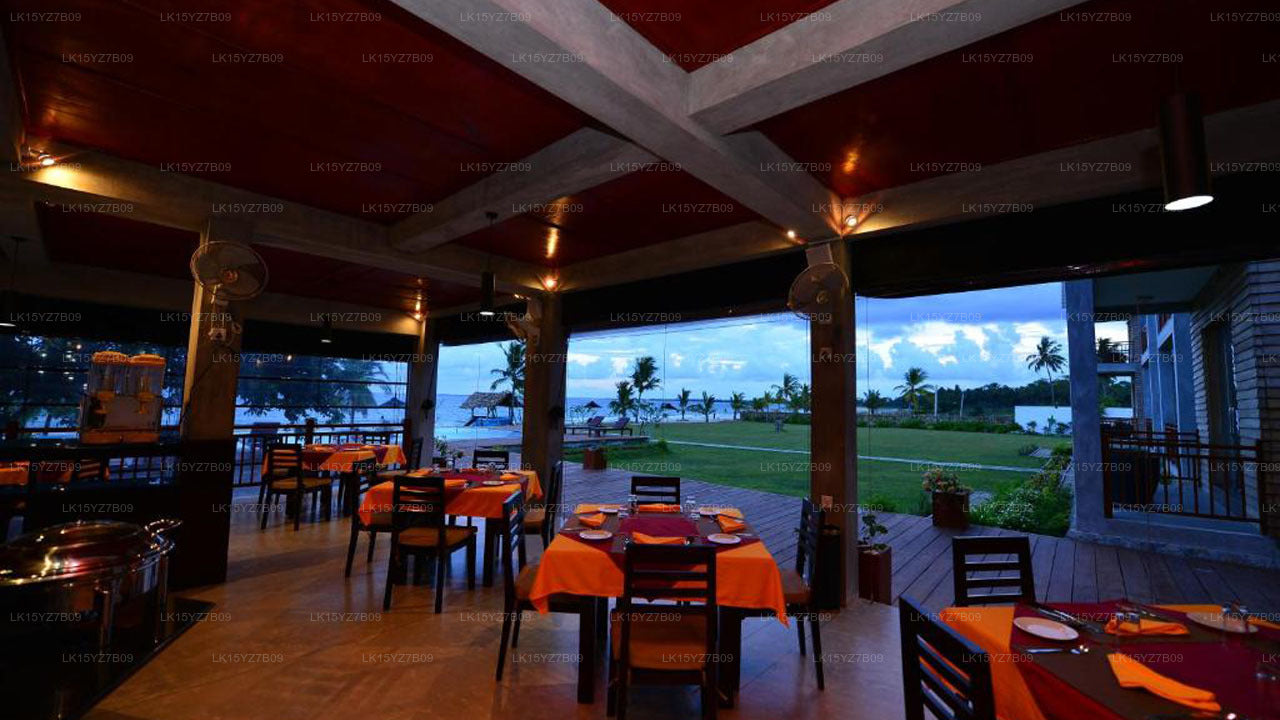 Лая Уэйвс, Пасикуда