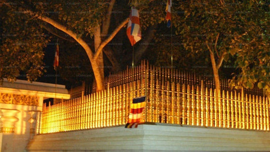 Экскурсия по священной зоне Анурадхапуры с гидом и входными билетами.