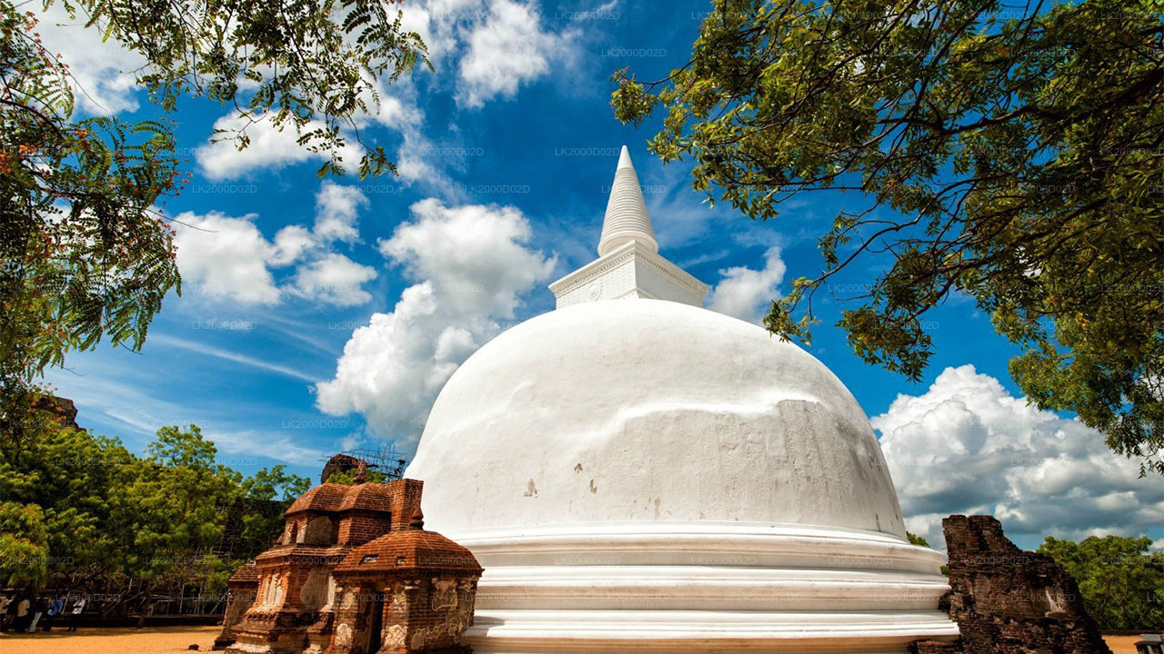 Экскурсия по древнему городу Полоннарува с гидом и входными билетами.