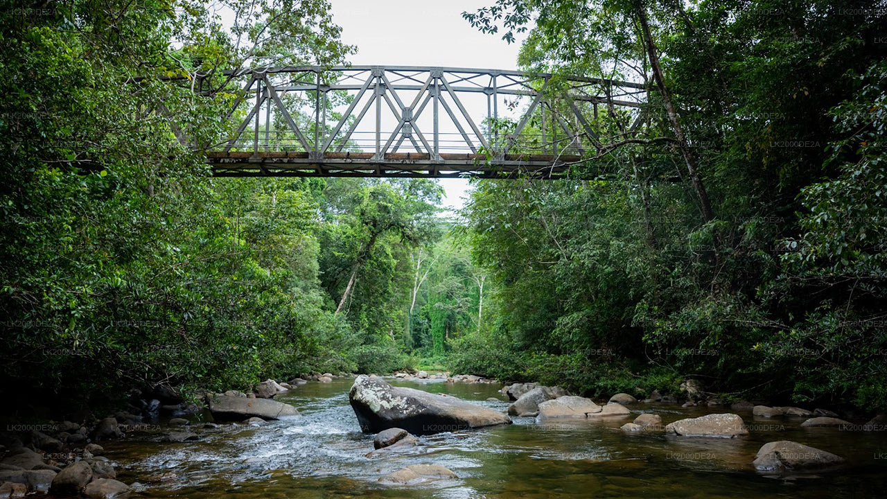 Экскурсия по лесному заповеднику Синхараджа с гидом и входными билетами.