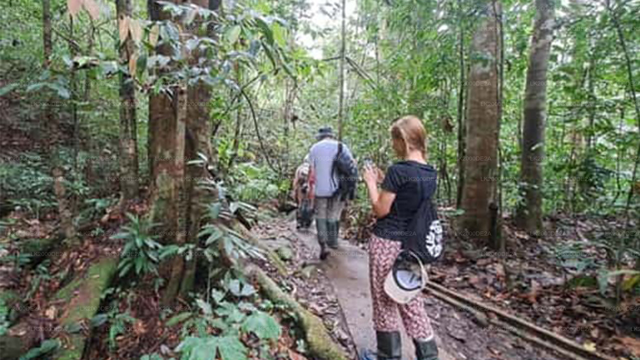 Экскурсия по лесному заповеднику Синхараджа с гидом и входными билетами.