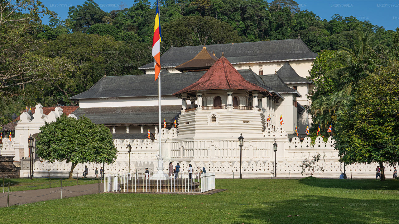 Местные гиды