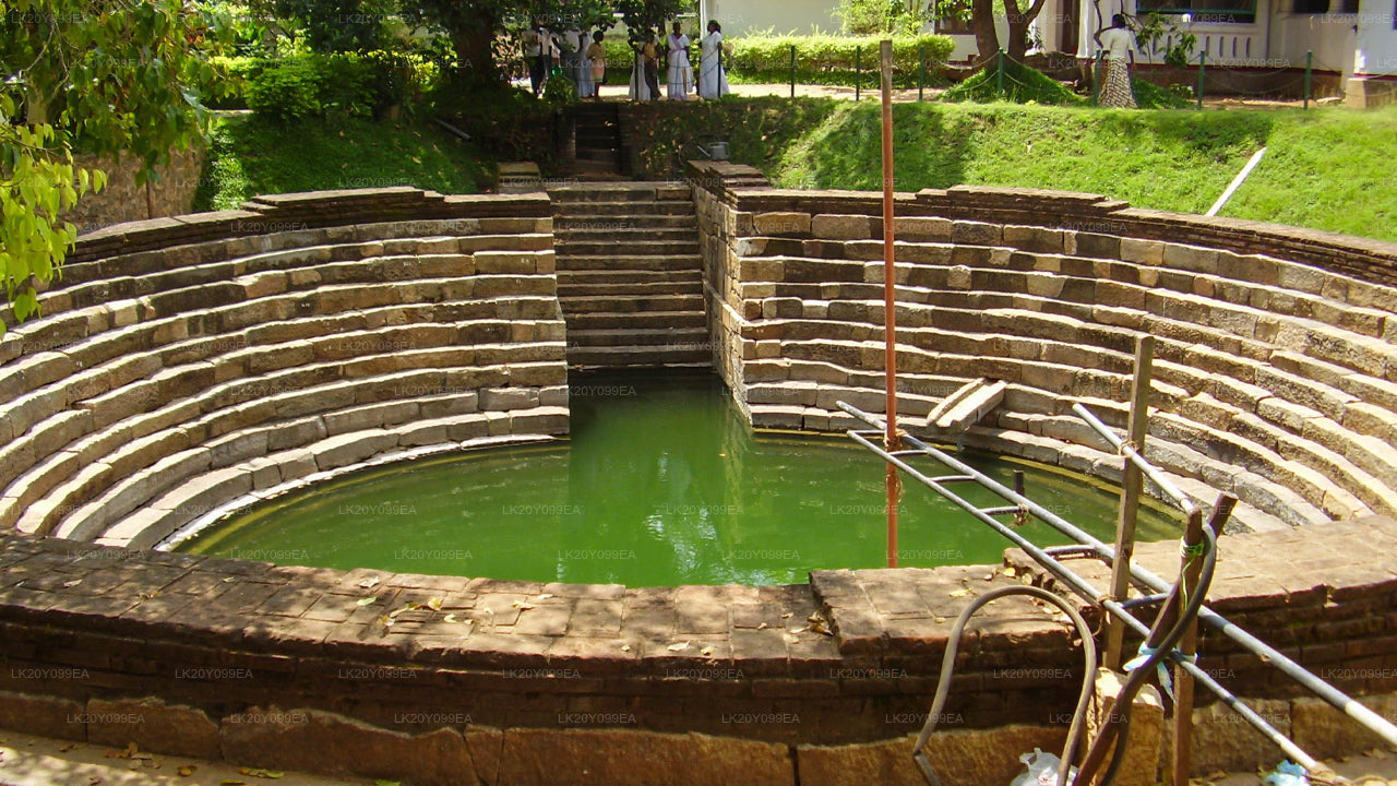 Местные гиды