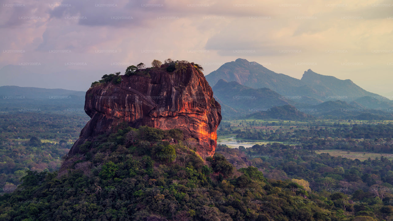 Местные гиды