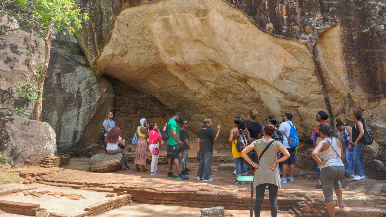 Местные гиды