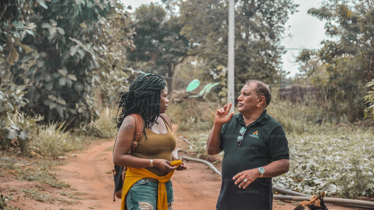 Местные гиды