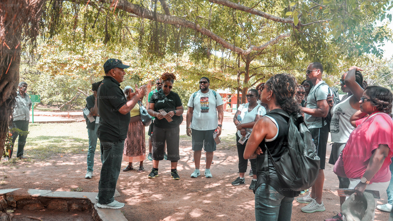 Местные гиды