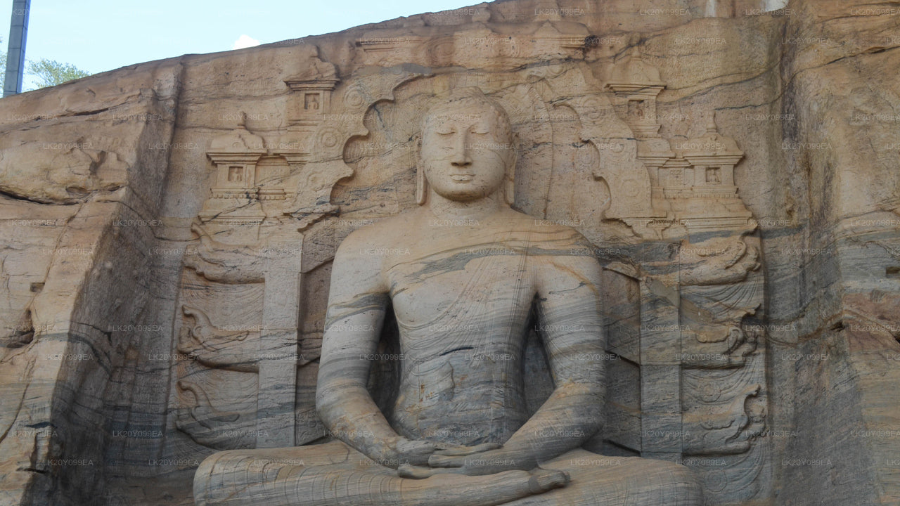 Местные гиды