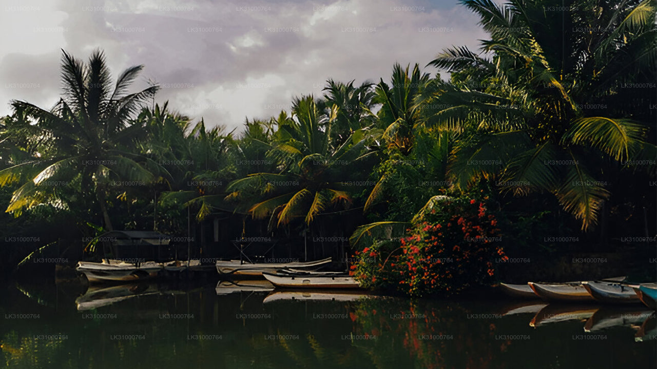 Boats on a river with lush greenery and palm trees in the background
