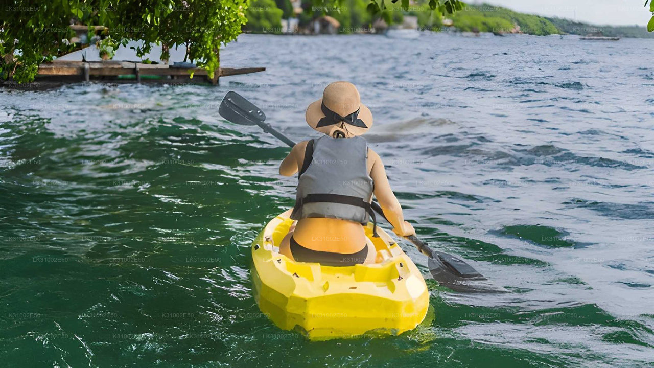 Каякинг по лагуне из Пасикуды