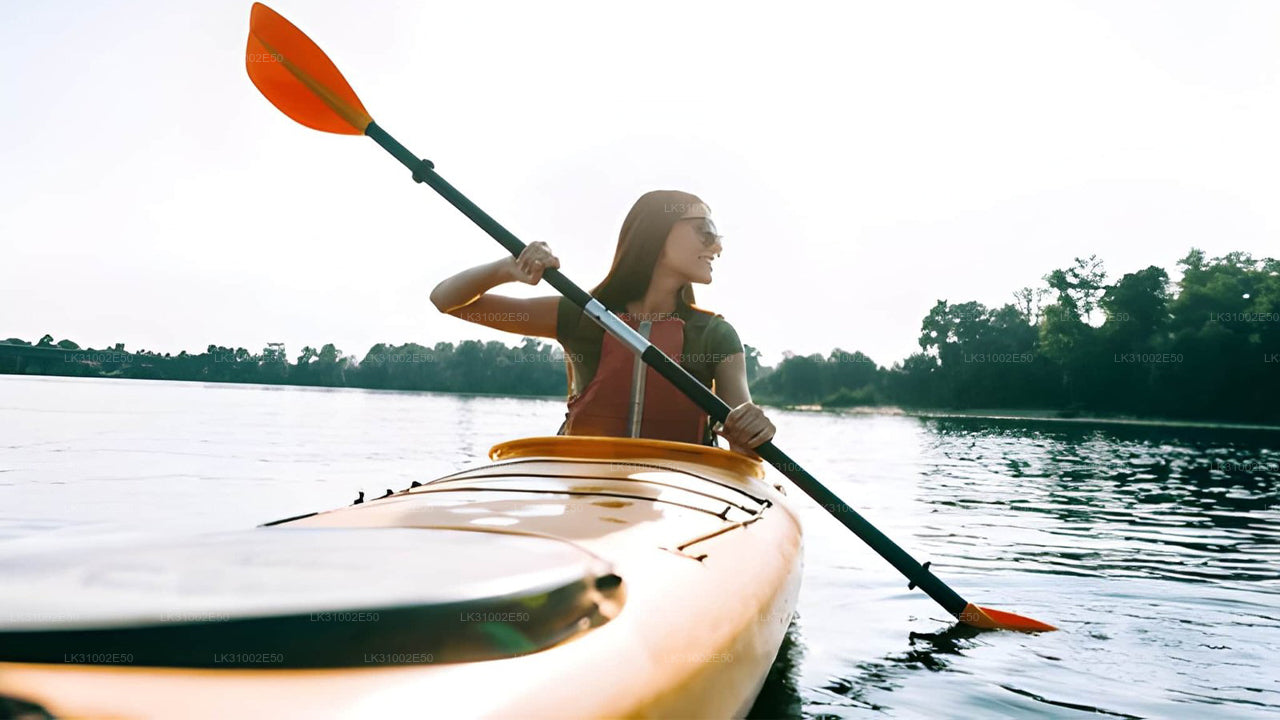 Каякинг по лагуне из Пасикуды