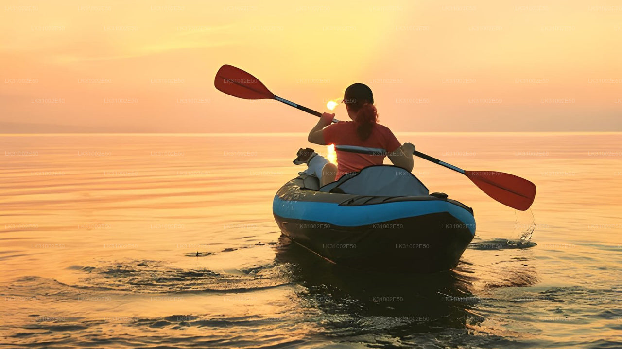 Каякинг по лагуне из Пасикуды