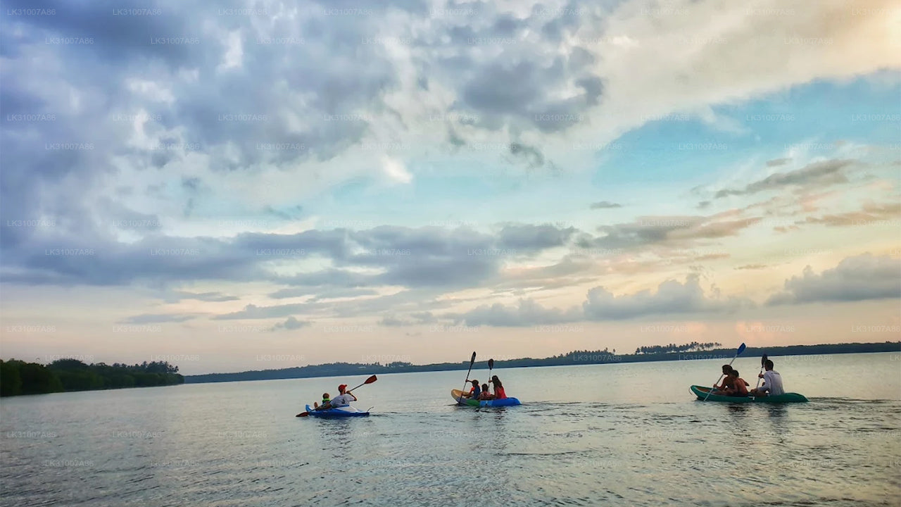 Экскурсия на байдарках по лагуне из Негомбо