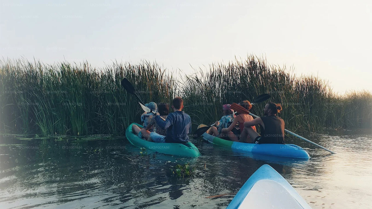 Экскурсия на байдарках по лагуне из Негомбо