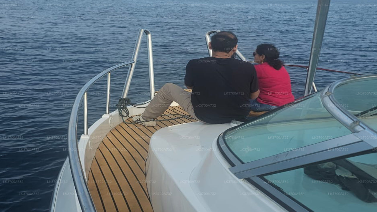 Частный тур по наблюдению за китами на роскошном катере из Мириссы