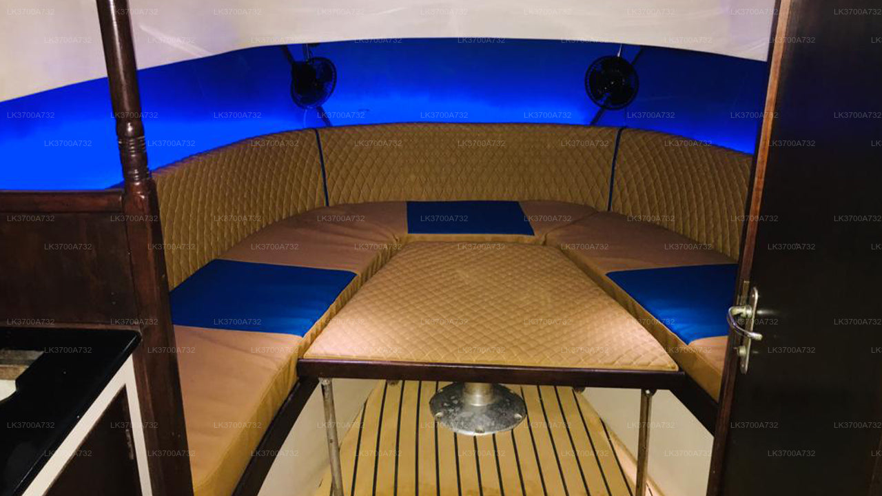 Частный тур по наблюдению за китами на роскошном катере из Мириссы