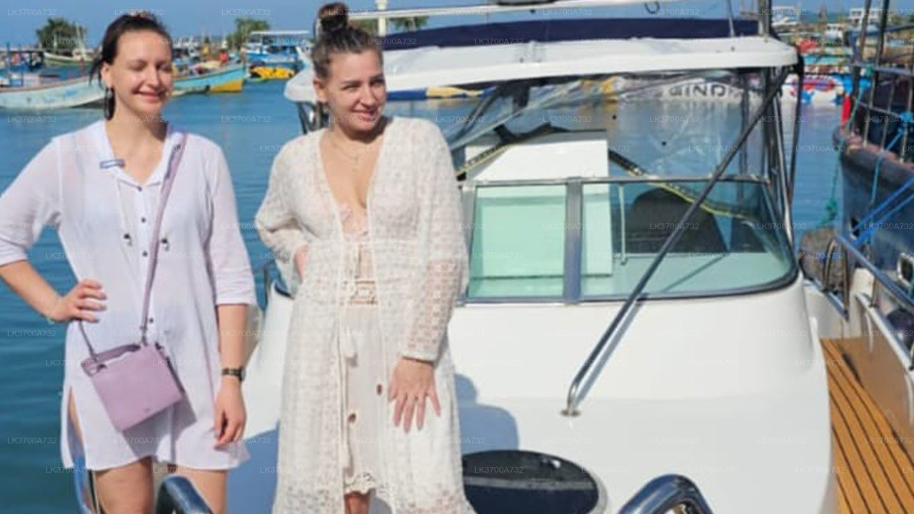 Частный тур по наблюдению за китами на роскошном катере из Мириссы