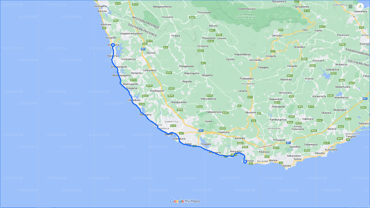 Наблюдение за китами из Ахунгаллы на общей лодке.