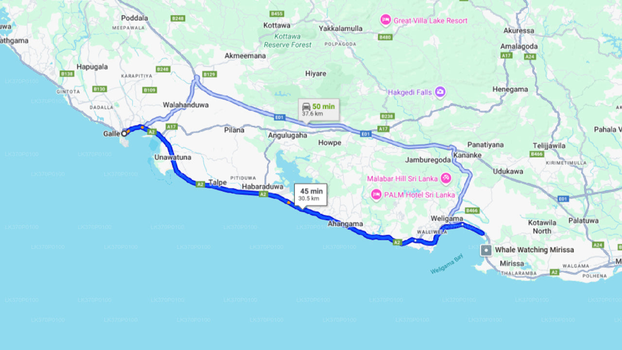 Наблюдение за китами из Хирикетии на общей лодке