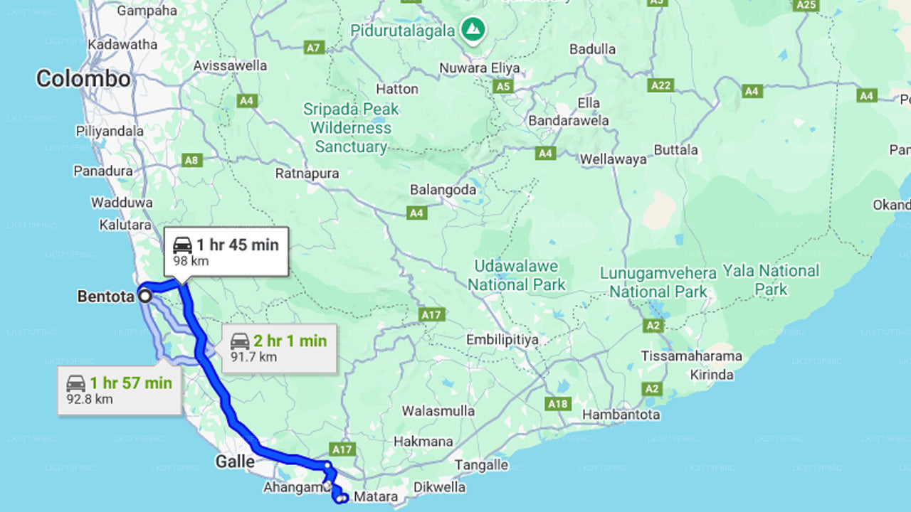 Наблюдение за китами из Бентоты на общей лодке