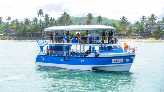 Наблюдение за китами из Мириссы на общей лодке