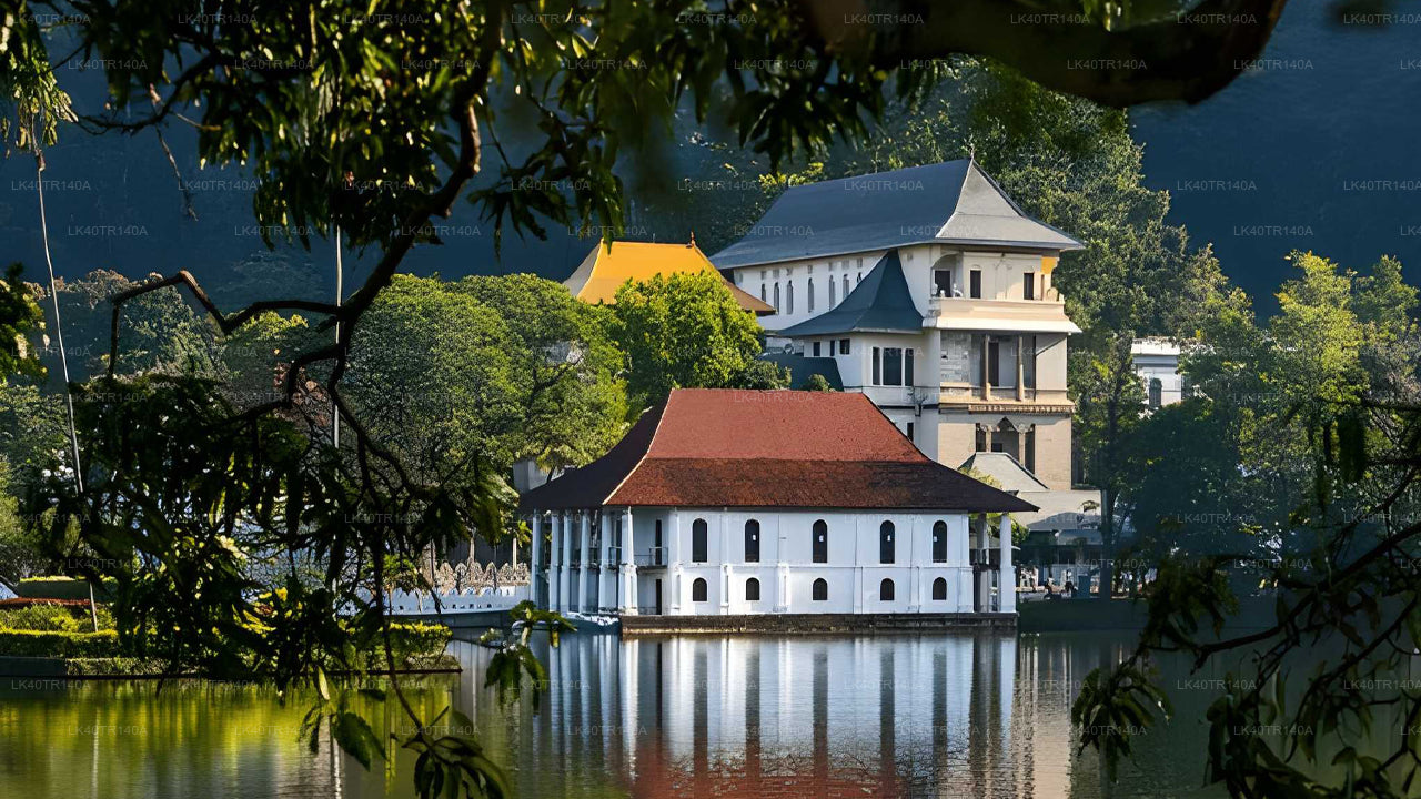 Элла — Канди: живописное путешествие на поезде, автомобиле или микроавтобусе.
