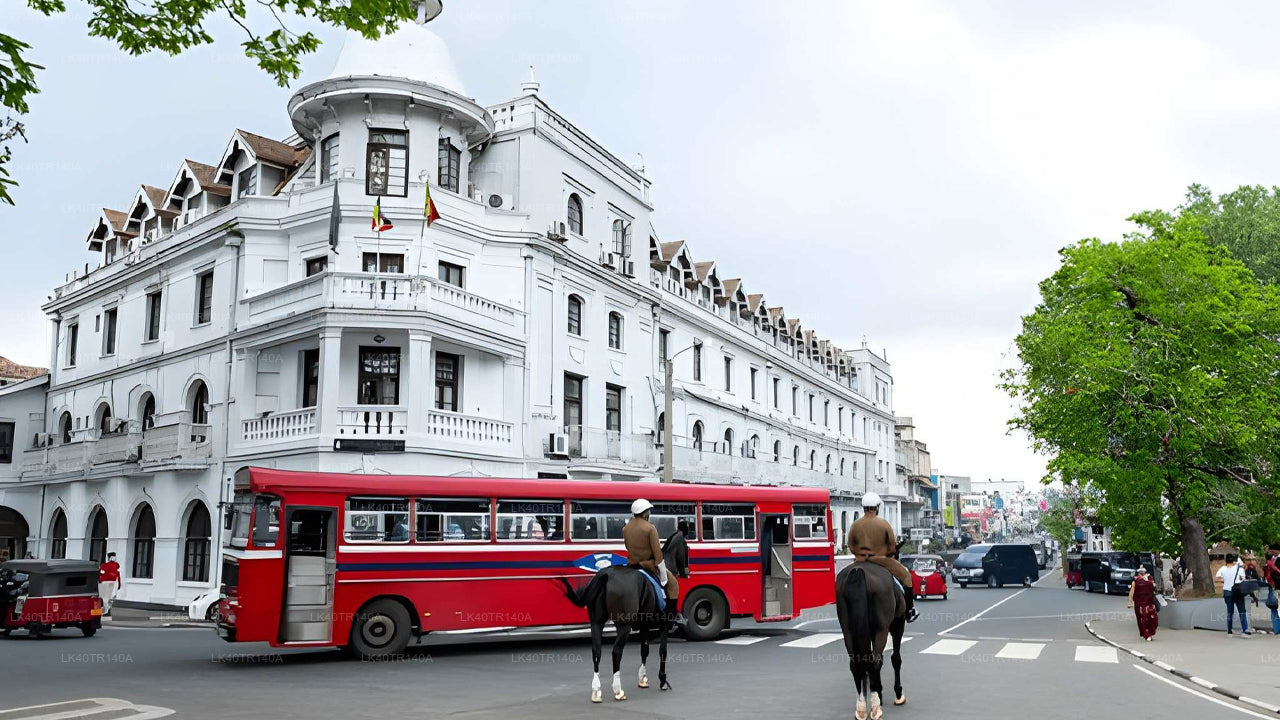 Red bus on a city street with a large white building in the background