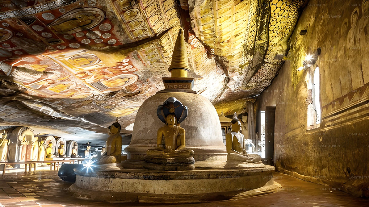 Частный трансфер из Коломбо в Сигирию с остановками для осмотра достопримечательностей