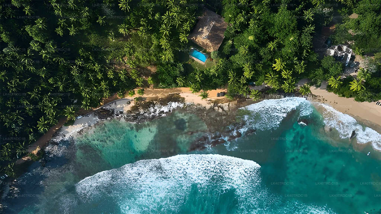 Индивидуальный трансфер из Негомбо в Хирикетию с остановками для осмотра достопримечательностей.