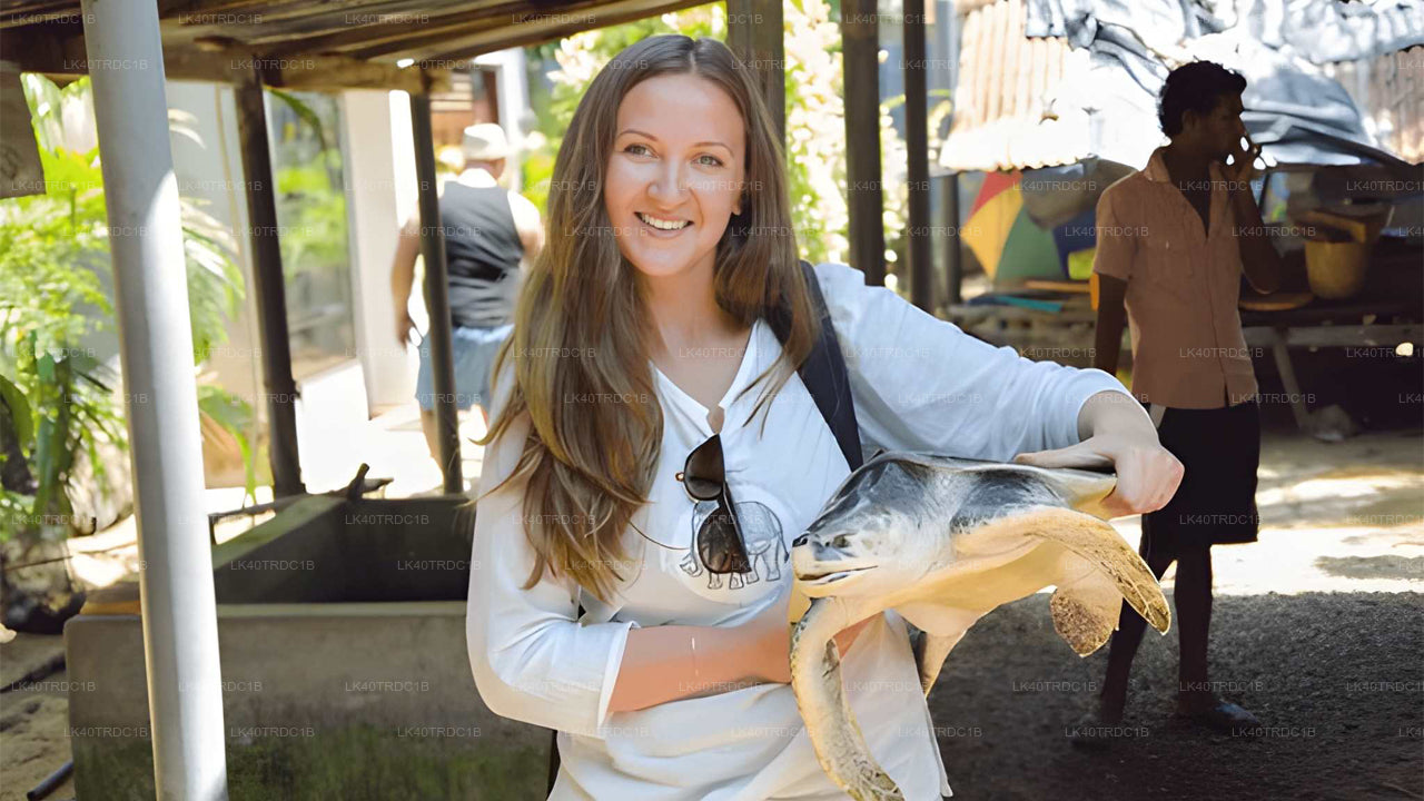 Индивидуальный трансфер из Негомбо в Хирикетию с остановками для осмотра достопримечательностей.